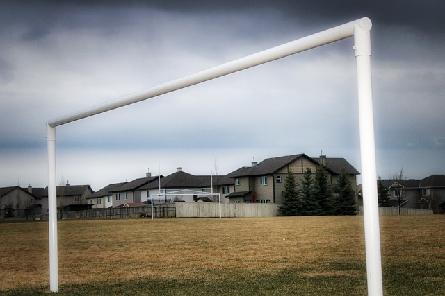 分析的素材 分析的素材