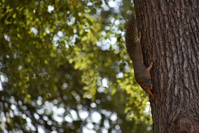C罗微笑挥手，利雅得胜利1-2遭绝杀，惨遭亚冠首.