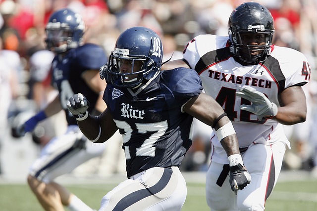 外援的合理 外援的合理