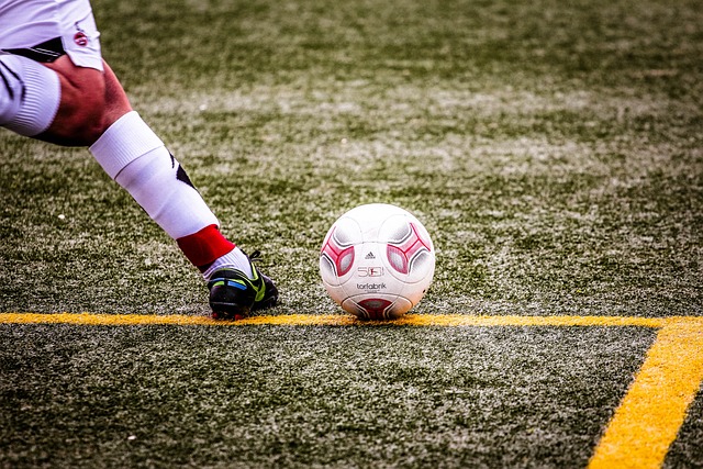 受关注的豪 受关注的豪